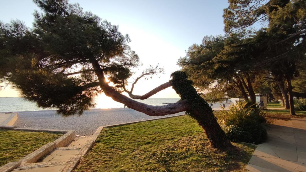 Apartments Marla Πόρετς Εξωτερικό φωτογραφία